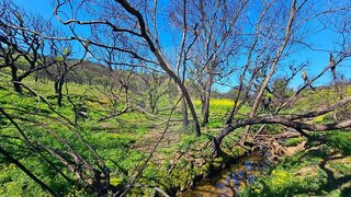 Land for sale in Lagos, Portugal — €195,000