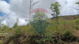 Terreno em Baião