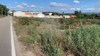 Land for sale in Montemor-o-Velho, Portugal — €625,000