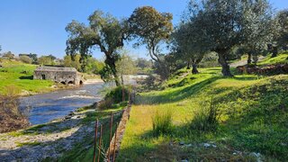 Land for sale in Ponte de Sor, Portugal — €65,000
