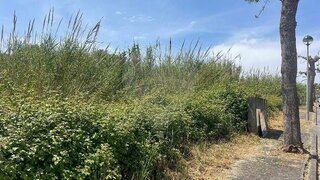 Land for sale in Lourinhã, Portugal — €37,900