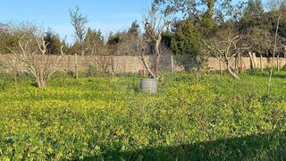 Land for sale in Vila Nova de Gaia, Portugal — €140,000