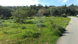 Land for sale in Loulé, Portugal — €48,000