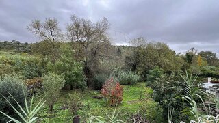 Land for sale in Torres Novas, Portugal — €120,000