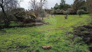 Terreno · 7694 m² · 10 000 €