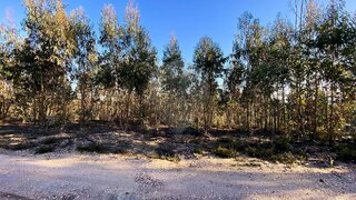 Land for sale in Ourém, Portugal — €72,000