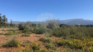Land for sale in Seia, Portugal — €40,000