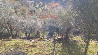 Terreno em Mondim de Basto