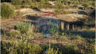 Terreno em Golegã