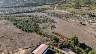 Terreno em Coimbra · 7580 m² · 113 700 €