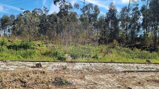 Land for sale in Oliveira de Azeméis, Portugal — €825,000