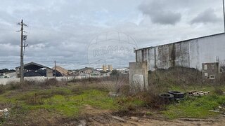 Terreno em Montemor-o-Novo