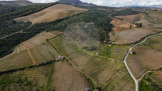 Land for sale in Vila Nova de Foz Côa, Portugal — €45,000