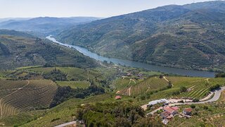 Terreno em Mesão Frio