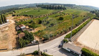 Terreno para venda em Nelas, Portugal — 99 900 €