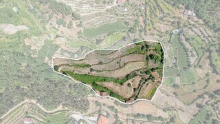 Land for sale in Mondim de Basto, Portugal — €143,000