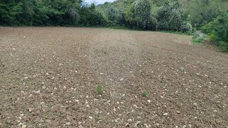 Land for sale in Sintra, Portugal — €60,000