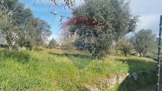 Land for sale in Tondela, Portugal — €45,000