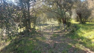 Land for sale in Abrantes, Portugal — €10,000