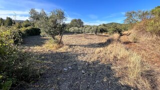 Land for sale in Penamacor, Portugal — €8,800