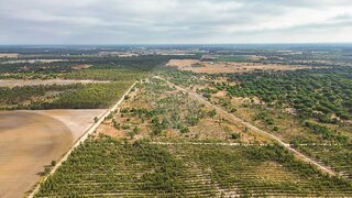 Land for sale in Montijo, Portugal — €320,000