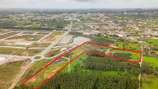 Land for sale in Alcobaça, Portugal — €1,500,000