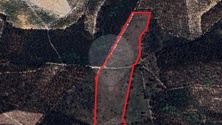 Land for sale in Pombal, Portugal — €20,000