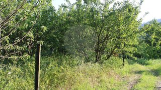 Land for sale in Lamego, Portugal — €40,000