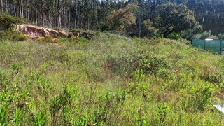 Land for sale in Rio Maior, Portugal — €40,000