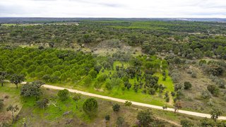 Land for sale in Mora, Portugal — €30,000