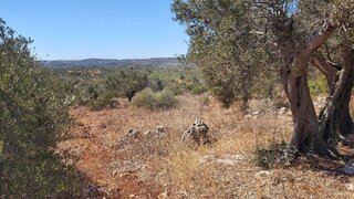Land for sale in Loulé, Portugal — €61,000