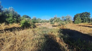 Land for sale in Fundão, Portugal — €38,000