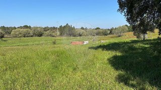 Land for sale in Coruche, Portugal — €60,000