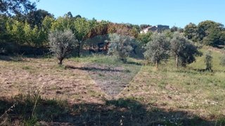 Land for sale in Ferreira do Zêzere, Portugal — €35,000