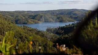 Land for sale in Tomar, Portugal — €77,000