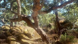 Land for sale in Idanha-a-Nova, Portugal — €60,000