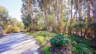 Land for sale in Penafiel, Portugal — €42,500