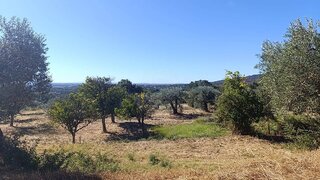 Terreno em Fundão