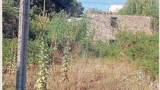 Land for sale in Santa Maria da Feira, Portugal — €125,000