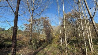 Land for sale in Pombal, Portugal — €9,000