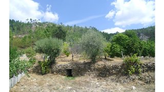 Land for sale in Proença-a-Nova, Portugal — €23,500