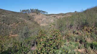Land for sale in Silves, Portugal — €20,900