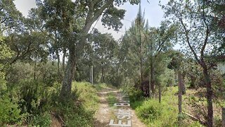 Land for sale in Tomar, Portugal — €5,000