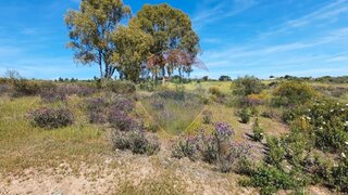 Land for sale in Idanha-a-Nova, Portugal — €9,000