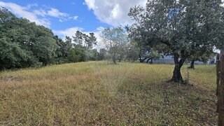 Land for sale in Alcanena, Portugal — €42,500