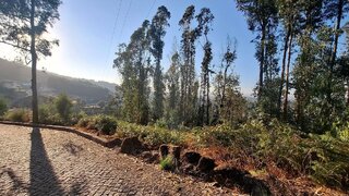 Land for sale in Santo Tirso, Portugal — €44,900
