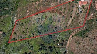 Terreno de 10 093 m² em Coimbra