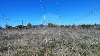 Land for sale in Torres Novas, Portugal — €60,000