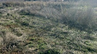 Land for sale in Borba, Portugal — €40,000