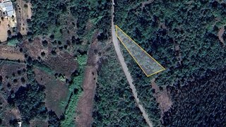 Terreno em Pombal